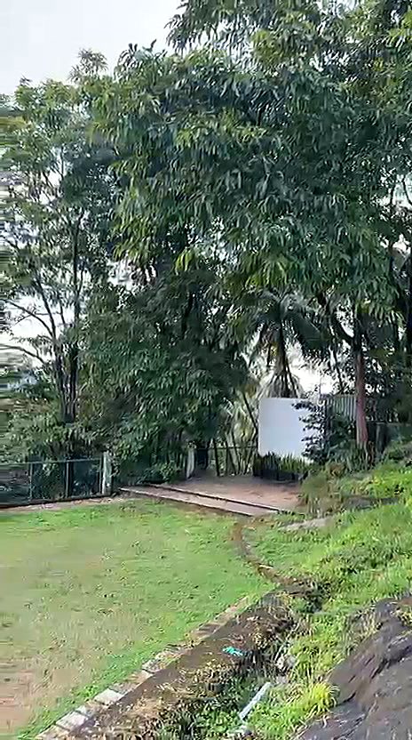 The event stage in the garden