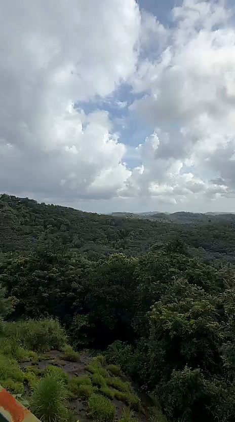 View over the forested hills near Puthuppadi